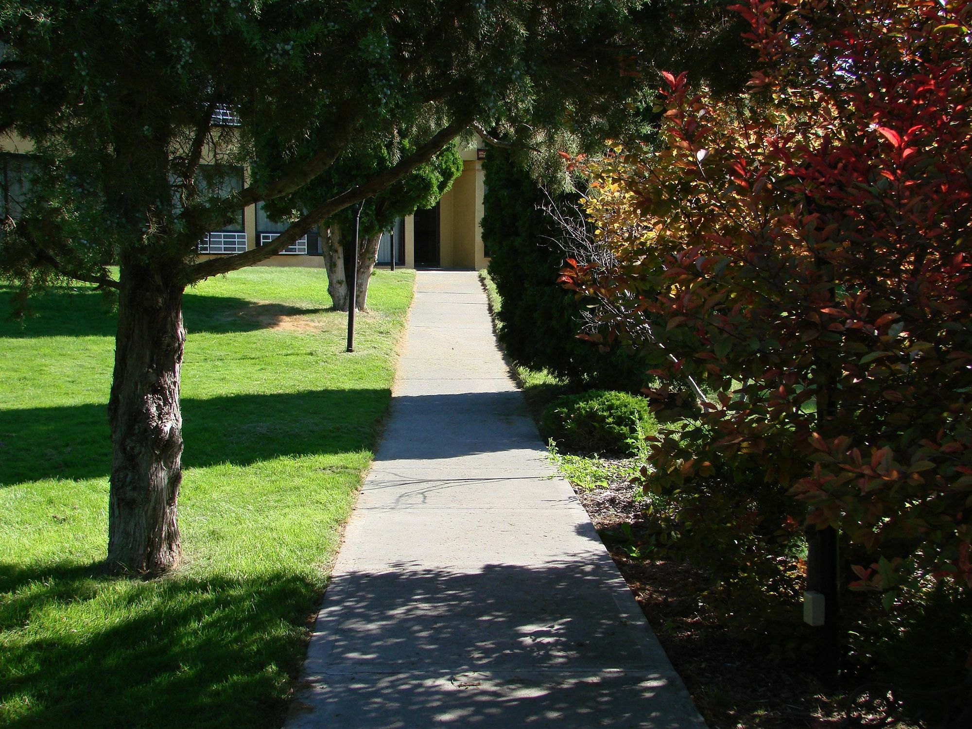 Econo Lodge Near Snake River Idaho Falls Esterno foto